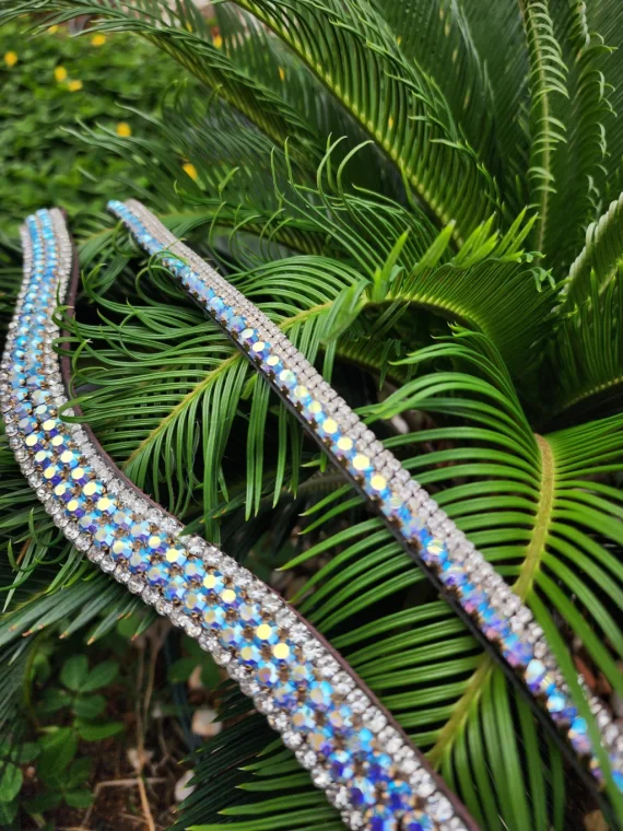 Testeira Prateada + Furta-cor U + Brilho de Sela